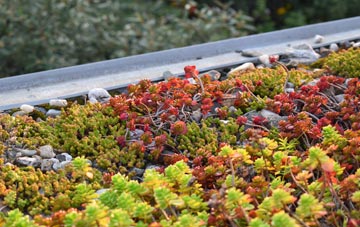 the cost of Weethley Gate green roof installation