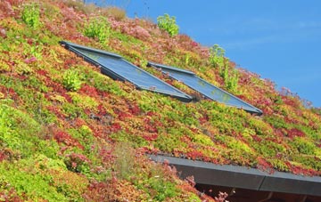 Weethley Gate living roof systems