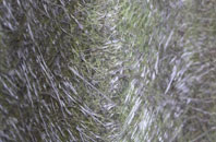 Weethley Gate fibreglass roof work